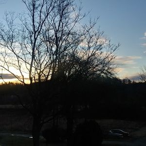 Meet your Posher, Car